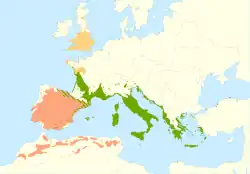 Mapa de distribución. En naranja: Quercus ilex subsp. rotundifolia. En verde: Quercus ilex subsp. ilex.