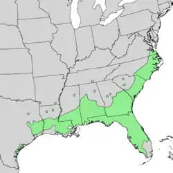 Distribución natural de Quercus laurifolia