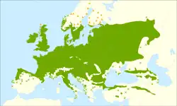 Distribución del Quercus robur