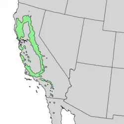 Distribución natural de Quercus wislizeni