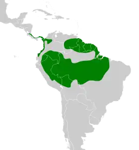 Distribución geográfica del cotinga querula.