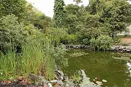 Laguna en el jardín botánico de Quito.