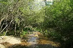 Río Batuecas