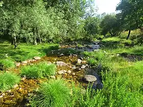 Río Cambrones a su paso por Palazuelos de Eresma