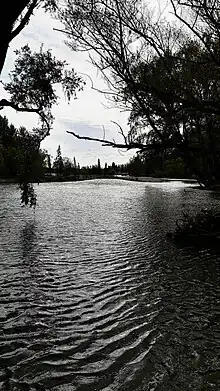 fotografia del Rio Limay (Argentina - Neuquén)