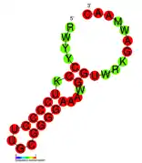 CRISPR-DR57:  Estructura secundaria tomada de la base de datos Rfam Familia  RF01370.