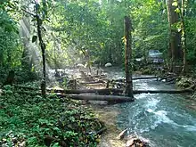 Crossing of rivers near the Lacandon camps.