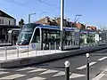 Carle - Darthé