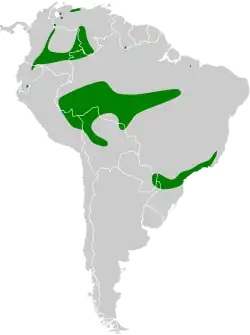 Distribución geográfica del picoplano cabezón.