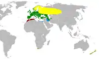 alt=Fringilla coelebs:

     Visitante en verano     Residente     Zona de invernada     Poblaciones introducidas
  Fringilla c. canariensis:      Residente 
Fringilla c. spodiogenys:       Residente