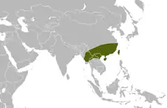 Distribución mundial de Bungarus multicinctus.