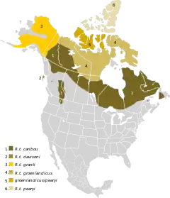 Gama de las subespecies de caribú en América del Norte