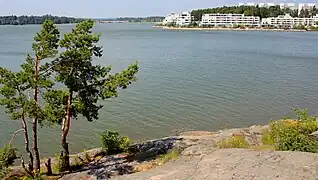 Un afloramiento típico de la costa frotado por antiguos glaciares en Espoo, Finlandia