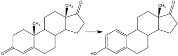 Conversión de androstendiona en estrona