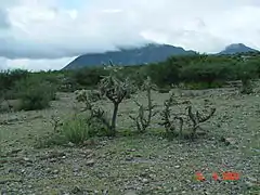 Valle de Tasquillo al oeste del estado.