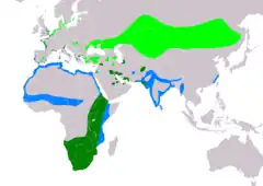 Distribución de Recurvirostra avosetta