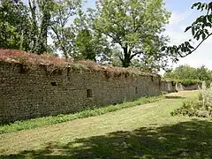 Murallas del castillo