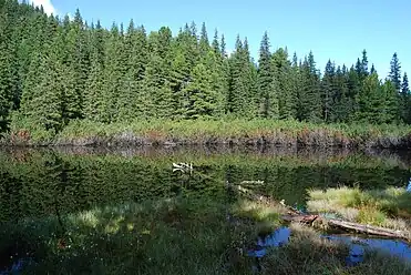 El estanque entre abetos (Tăul dintre brazi), un pequeño lago no glacial dentro del parque nacional.