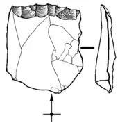 Retoque distal