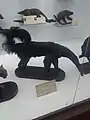 Galería de animales (especímenes)