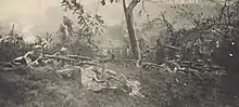 Infantería brasileña en combate durante la revolución constitucional, 1932