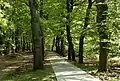 Rheden, en Parque nacional Veluwezoom