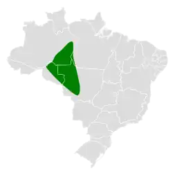 Distribución geográfica del hormiguero pechiblanco.