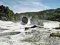 Cataratas del Rin