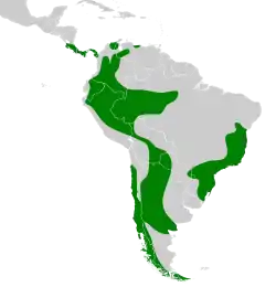 Distribución geográfica de los rinocríptidos.