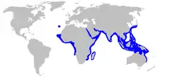 Distribución del tiburón lechoso