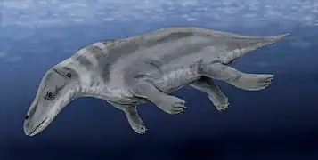 Rodhocetus (ballena del Eoceno)