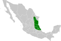 Distribución geográfica del picogrueso cuellirrufo.