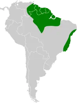 Distribución geográfica del picoplano oliváceo.