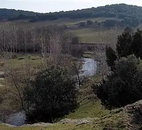 Río Pirón a su paso por Peñarrubias de Pirón