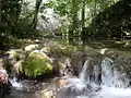 río Ayuda en el Condado de Treviño.