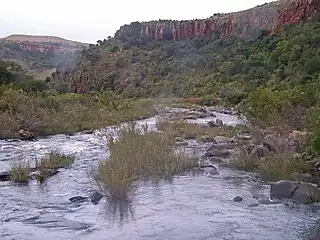 Corriente fluvial del río Inkomati cerca de Carolina, Sudáfrica