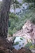 Paisaje fluvial en el paraje Los Amanaderos de Riodeva (Teruel), 2017.