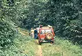 La selva del Congo en la carretera que une Ubundu a Kisangani, en la República Democrática del Congo.