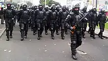 Antidisturbios de la Policía Nacional del Perú