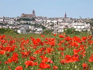 Panorámica de Rodez