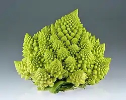 Brassica Oleracea, ejemplo de simetría fractal vegetal