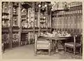 Comedor de la casa adosada de Theodore Roosevelt Sr., ciudad de Nueva York (1873, demolida).