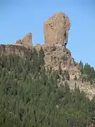 Roque Nublo y vegetación.