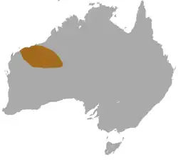 Mapa de distribución de Pseudantechinus roryi