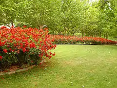 'La Sevillana' en el Parque Gasset (Ciudad Real).