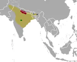 Distribución histórica (amarillo) y actual de las subespecies C. d. duvaucelii (rojo), C. d. branderi (verde) y C. d. ranjitsinhi (azul).