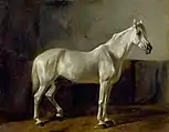 Caballo blanco