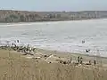 El embalse en la primavera, con bañistas en las playas