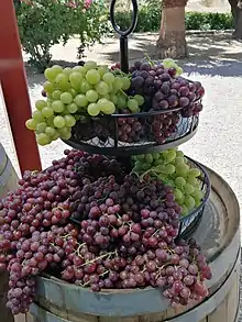 Ruta que promueve la visita a los campos de espárrago, olivo, zonas de petroglifos y playas de Santo Tomás