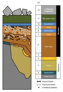  Estratigrafía de la Sima de los Huesos.